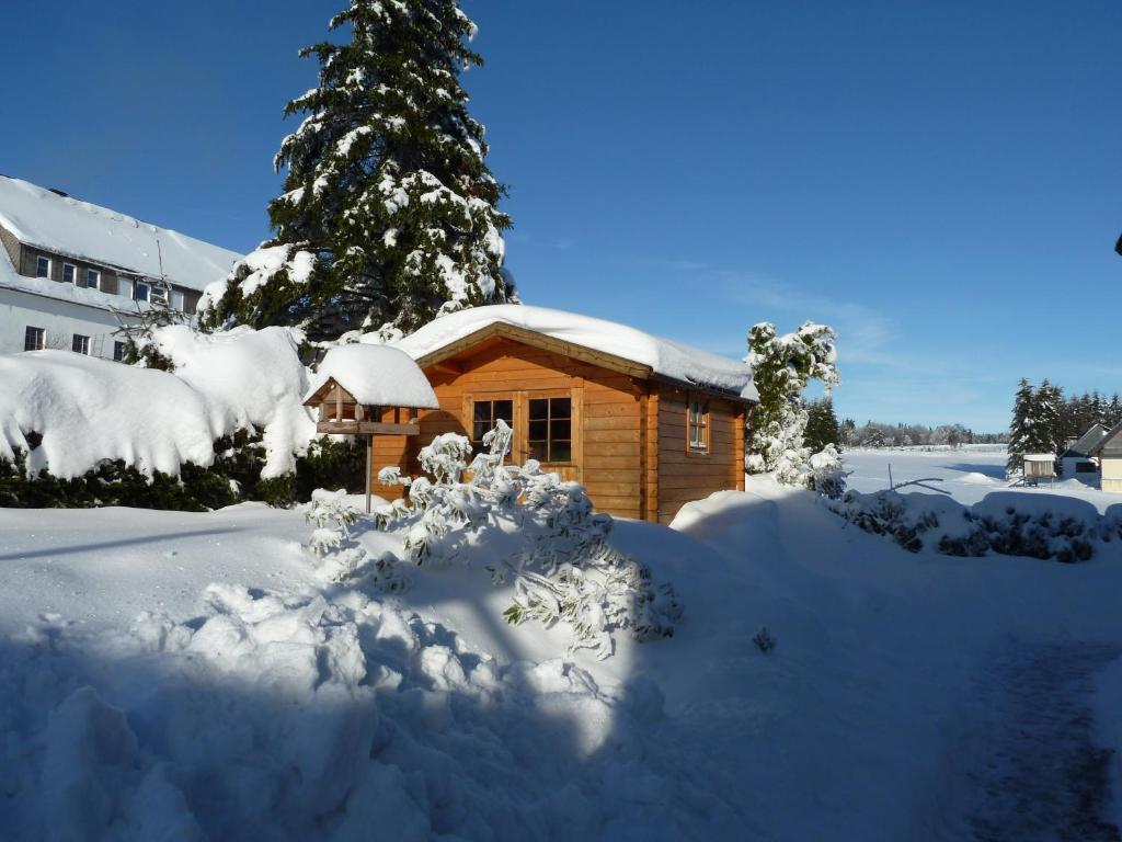 Apartment Jungst Winterberg Buitenkant foto