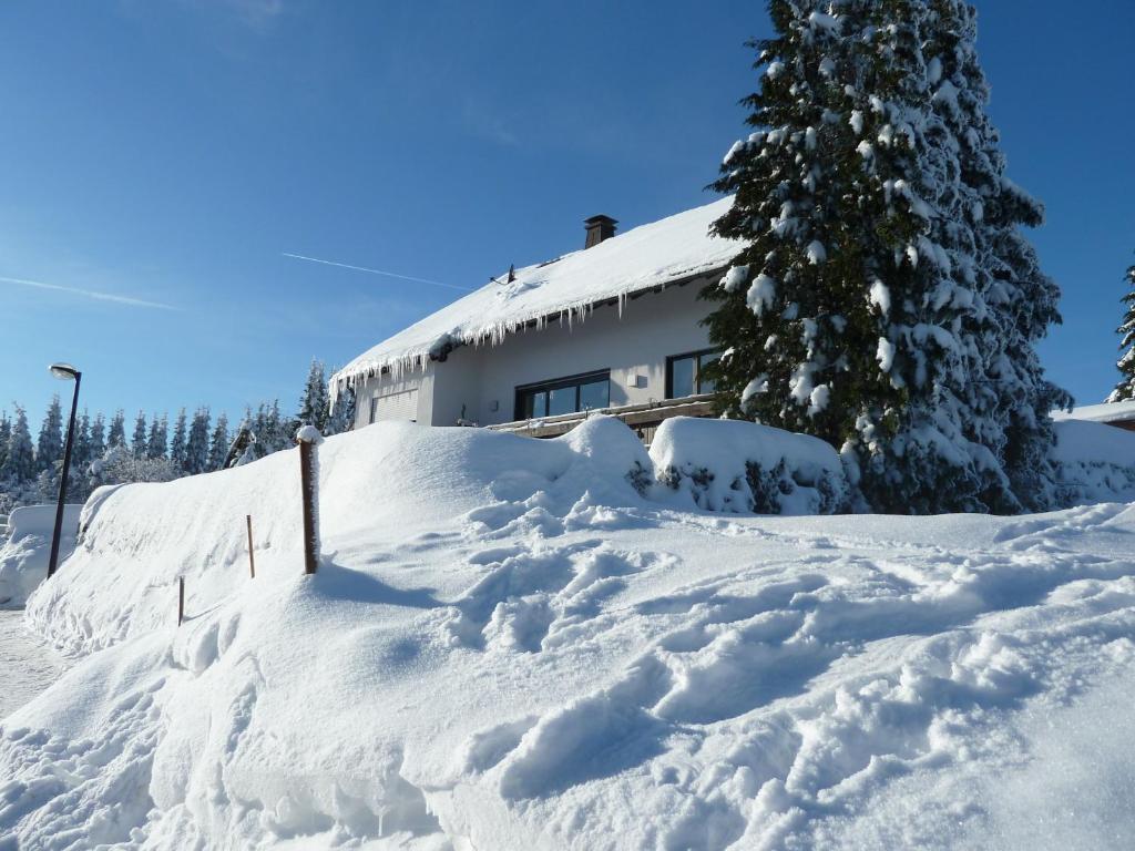 Apartment Jungst Winterberg Buitenkant foto